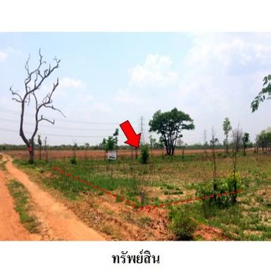 ขายที่ดินว่างเปล่า ต.ชีลอง อ.เมืองชัยภูมิ จังหวัด ชัยภูมิ