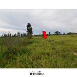 ขายที่ดินว่างเปล่า ถ.สายชัยภูมิ-หนองบัวแดง ต.รอบเมือง จ.ชัยภูมิ 