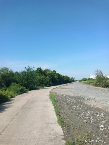 ขายที่ 25 ไร่ ผังสีเหลือง ต.สนามจันทร์ บ้านโพธิ์ 