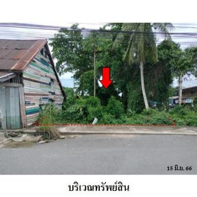 ขายที่ดินว่างเปล่า ต.ท่าข้าม อ.พุนพิน จ.สุราษฎร์ธานี