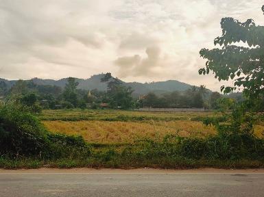 ขายที่ดินทุ่งนา4ไร่ 3.2ล. ถนน1098 ต.ท่าข้าวเปลือก แม่จัน เชียงราย