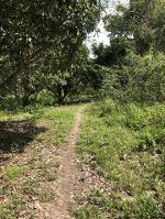 ขายที่ดิน 1-3-61ไร่ 2.5ล.ต.ออนเหนือ อ.แม่ออน เชียงใหม่