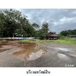 ขายโรงงาน/โกดัง ต.ปากแพรก อ.ดอนสัก จ.สุราษฎร์ธานี