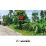 ขายที่ดินว่างเปล่า ตำบล หน้าเมือง อำเภอ เกาะสมุย สุราษฎร์ธานี