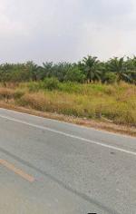 ขายที่ดินคลองกิ่วบ้านบึงชลบุรี บนเนื้อที่  311-2-50 ไร่