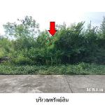 ขายที่ดินว่างเปล่า ถ.สายสุราษฎร์ธานี-นครศรีธรรมราช  กาญจนดิษฐ์ 