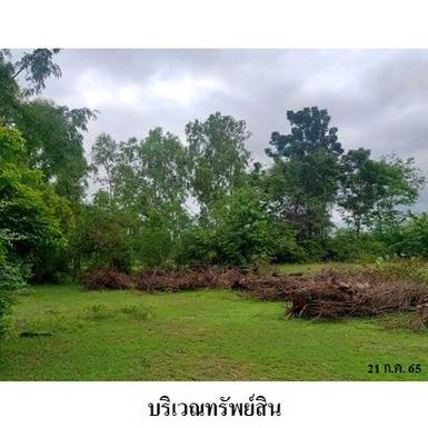 ขายที่ดินว่างเปล่า ต.หนองคู อำเภอ ลำปลายมาศ จังหวัด บุรีรัมย์