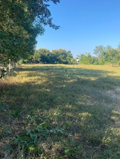 ขายที่ดินเปล่า เจ้าของขายเอง 1 ไร่ จังหวัดนครราชสีมา