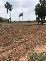 รวมที่ดินดีงามเพื่อคุณ  ขายที่ติดแม่น้ำน่าน ต.โคกหม้อ ชุมแสง.นครส