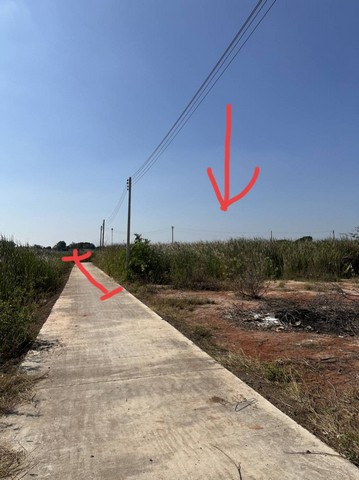 ขายที่ดิน102ว.800,000บ.ใกล้ถ.มิตรภาพ ต.บ้านโพธิ์ เมือง นครราชสีมา