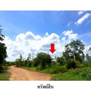 ขายที่ดินว่างเปล่า ตำบล โคกสูง อำเภอ เมืองชัยภูมิ จังหวัด ชัยภูมิ