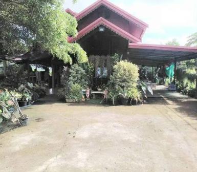 ขายที่ดินทำเลดี 2 ไร่ 3 งาน เจ้าของขายเอง คลอง13 หนองจอก กทม