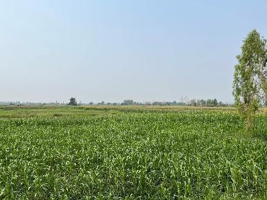 ที่ดินผืนใหญ่ 675 ไร่ ติดถนนใหญ่ อ.เชียงคำ จ.พะเยา 