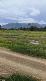 วิวเขาใกล้ชะอำ390ตรว.5แสน฿เท่านั้น ห้วยทรายเหนือ ชะอำ เพชรบุรี 