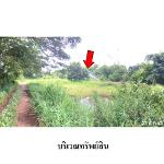 ขายบ้านเดี่ยว ต.กะฮาด อำเภอ เนินสง่า จังหวัด ชัยภูมิ