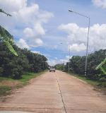 ขายที่ดินลำไย 9-2-87ไร่ 3.8ล.ถ.คอนกรีต ต.แม่แวน พร้าว เชียงใหม่