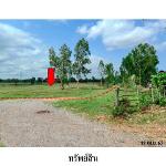 ขายที่ดินว่างเปล่า ต.รอบเมือง อำเภอ เมืองชัยภูมิ