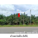 ขายที่ดินว่างเปล่า ต.บางสวรรค์ อ.พระแสง จ.สุราษฎร์ธานี