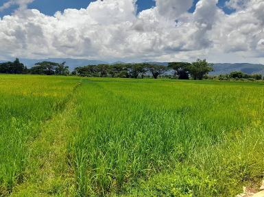 ขายที่ดิน ติดถนน 4ไร่ 14 ตร.วา