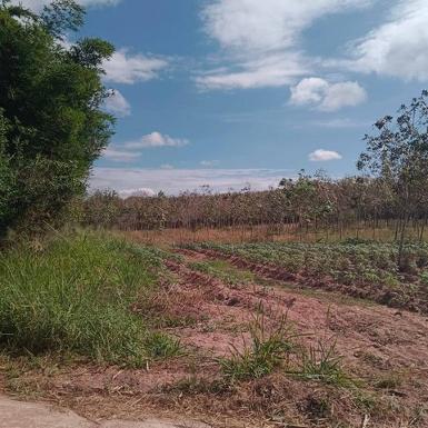 ขายที่ดินหนองเสือช้าง หนองใหญ่ ชลบุรี แปลงสวย ราคาดี