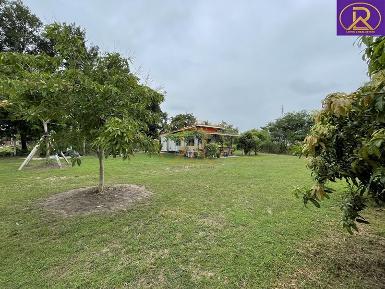 ขายบ้านสวน บ้านพัก 1-2-33ไร่ ผลไม้ และพืชหลากหลายชนิด เมืองชลบุรี