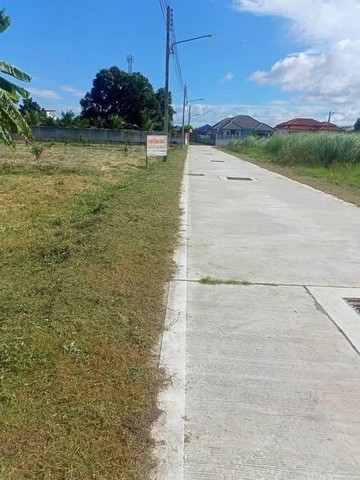 ขายที่ดินเปล่าแปลงสวย ซ. หนองใหญ่ หนองปรือ บางละมุง ชลบุรี