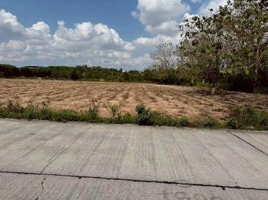 ขายที่ดินแปลงสวย ทำเลงาม โซนปลวกแดง จังหวัดระยอง