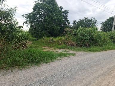 รวมที่ดินดีงามเพื่อคุณ ขายที่ปากช่อง 2-8ไร่ โฉนด ต.วังไทร ไร่ละ 2