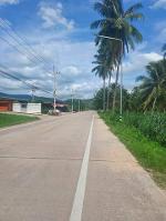 ขายที่ดินศรีราชา 24 ไร่ 1 งาน 99 ตารางวา