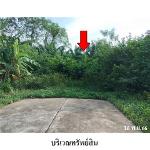ขายที่ดินว่างเปล่า ถ.สายสุราษฎร์ธานี-นครศรีธรรมราช  กาญจนดิษฐ์ 