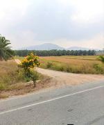 ขายที่ดินคลองกิ่วบ้านบึงชลบุรี บนเนื้อที่  311-2-50 ไร่