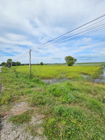 ขายท่ดินขนาดเนื้อที่ 4 ไร่ 2 งาน 80 ตารางวา มหาสารคาม