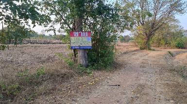 ขายที่ดิน 1-3-68 ไร่ หนองบัว โกสุมพิสัย มหาสารคราม