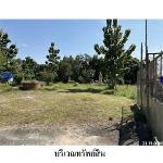 ขายโรงงาน/โกดัง ถ.บ้านผือ-บ้านหัวช้าง บ้านไผ่ ขอนแก่น