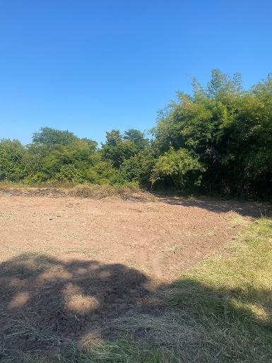 ขายที่ดินในเขตเทศบาล โฉนด 1 ไร่ต.ใหม่ อ.โนนสูง จ.นครราชสีมา 