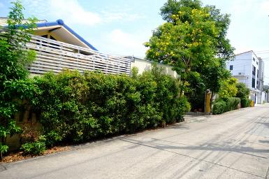 ขายที่ดินพร้อม100ตารางวา สังคมสงเคราะห์7 นาคนิวาส ลาดพร้าว71