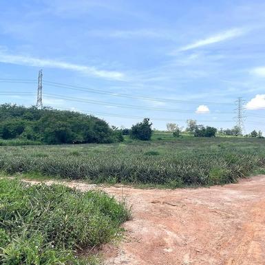 ขายที่ดินผังม่วงนิคมพัฒนาระยอง ขายที่ดินเนื้อที่ 23-2-12 ไร่