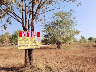 ขายที่ดินติดถนน 1-0-03 ไร่ ซอยวัดป่าเทพวังทอง โพนพิสัย หนองคาย 