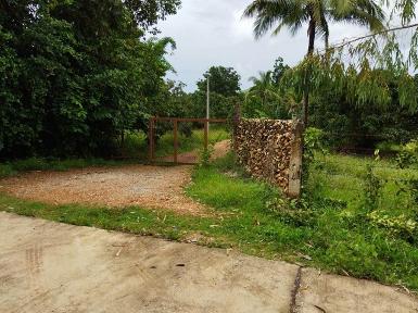 ขายที่ดิน7-1-76ไร่ 2.7ล. ถนนน้ำไฟฟ้า ทาสบเส้า แม่ทา ลำพูน