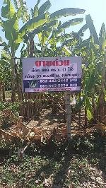 ขายถูก ที่ดินถมแล้ว 1 ไร่ เฉลิมพระเกียรติ ซอย 7 แยก 6