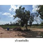 ขายบ้านเดี่ยวถนน จัตุรัส-หนองบัวระเหว ต.บ้านกอก อ.จัตุรัส ชัยภูมิ