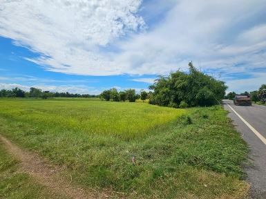 ขายที่ดินติดถนน เป็นที่นา 2 ไร่ 40 ตารางวา มหาสารคาม