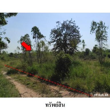 ขายที่ดินว่างเปล่า ต.นาฝาย อ.เมืองชัยภูมิ จังหวัด ชัยภูมิ