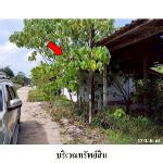 ขายโรงงาน ถ.ท่าโรงช้าง ตำบล มะขามเตี้ย อ.เมือง จ.สุราษฎร์ธานี