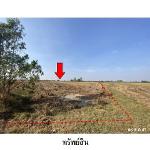 ขายที่ดินว่างเปล่า ต.ขี้เหล็ก อำเภอ ปทุมรัตต์ จังหวัด ร้อยเอ็ด
