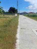 ขายที่ดินเปล่าแปลงสวย ซ. หนองใหญ่ หนองปรือ บางละมุง ชลบุรี