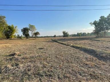 ที่ดินแปลงใหญ่ ทำเลอนาคต หนองคาย