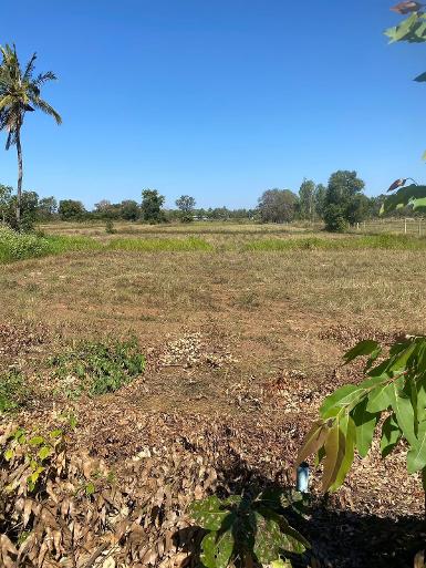 ขายที่ดินทำเลดี 4 ไร่ เจ้าของขายเอง ต.ห้วยยาง อ.บัวใหญ่ นครราชสีม