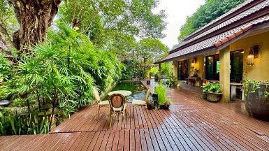 โซนท่าวังตาล สารภี ขาย 29.9 ล้าน 1-1-68 ตรว. สไตล์ #Tropical Res