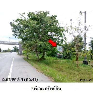 ขายที่ดินว่างเปล่า ต.เลม็ด อำเภอไชยา จังหวัดสุราษฎร์ธานี